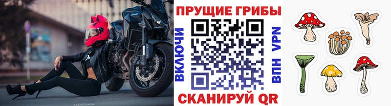Купить закладки  Вельск  Псилоцибиновые грибы прущие грибы 